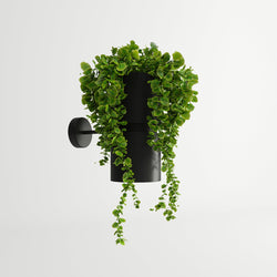 Applique Support Plante noir