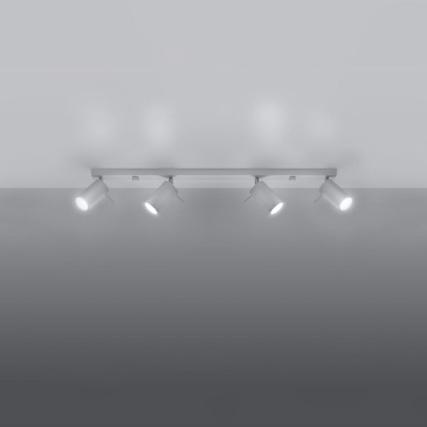 Plafonnier Directionnelle 4L LED blanc